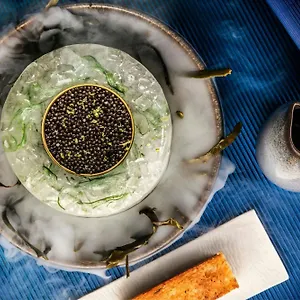 بريزدينت ويلسون، أحد لاكشري كولكشن جنيفا